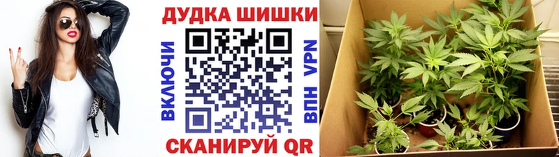 Шишки марихуана THC 21% как найти Людиново